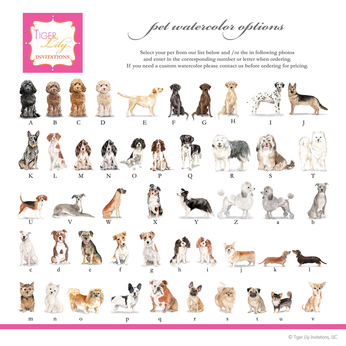 Chart of dog watercolor illustrations for drink menu