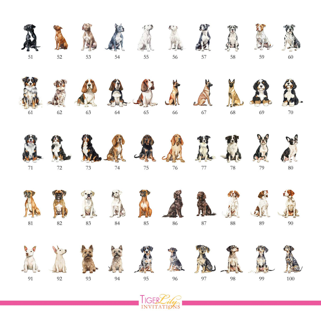 Chart of dog watercolor illustrations for drink menu