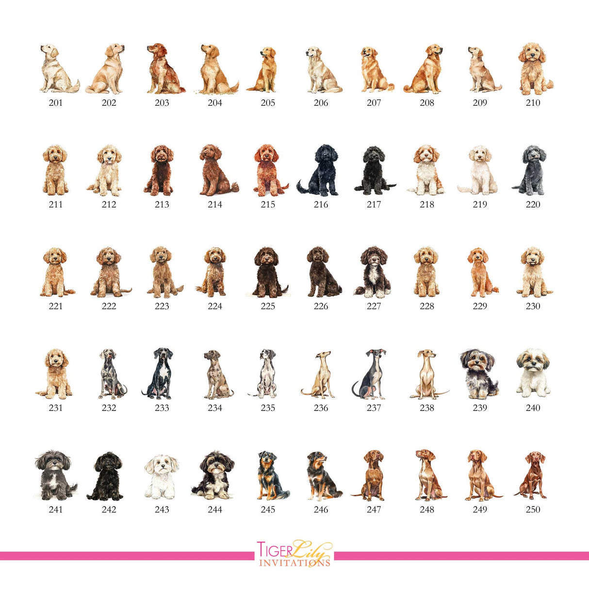 Chart of dog watercolor illustrations for drink menu