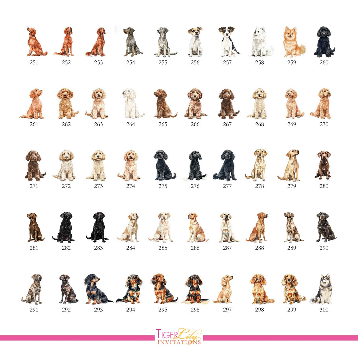 Chart of dog watercolor illustrations for drink menu