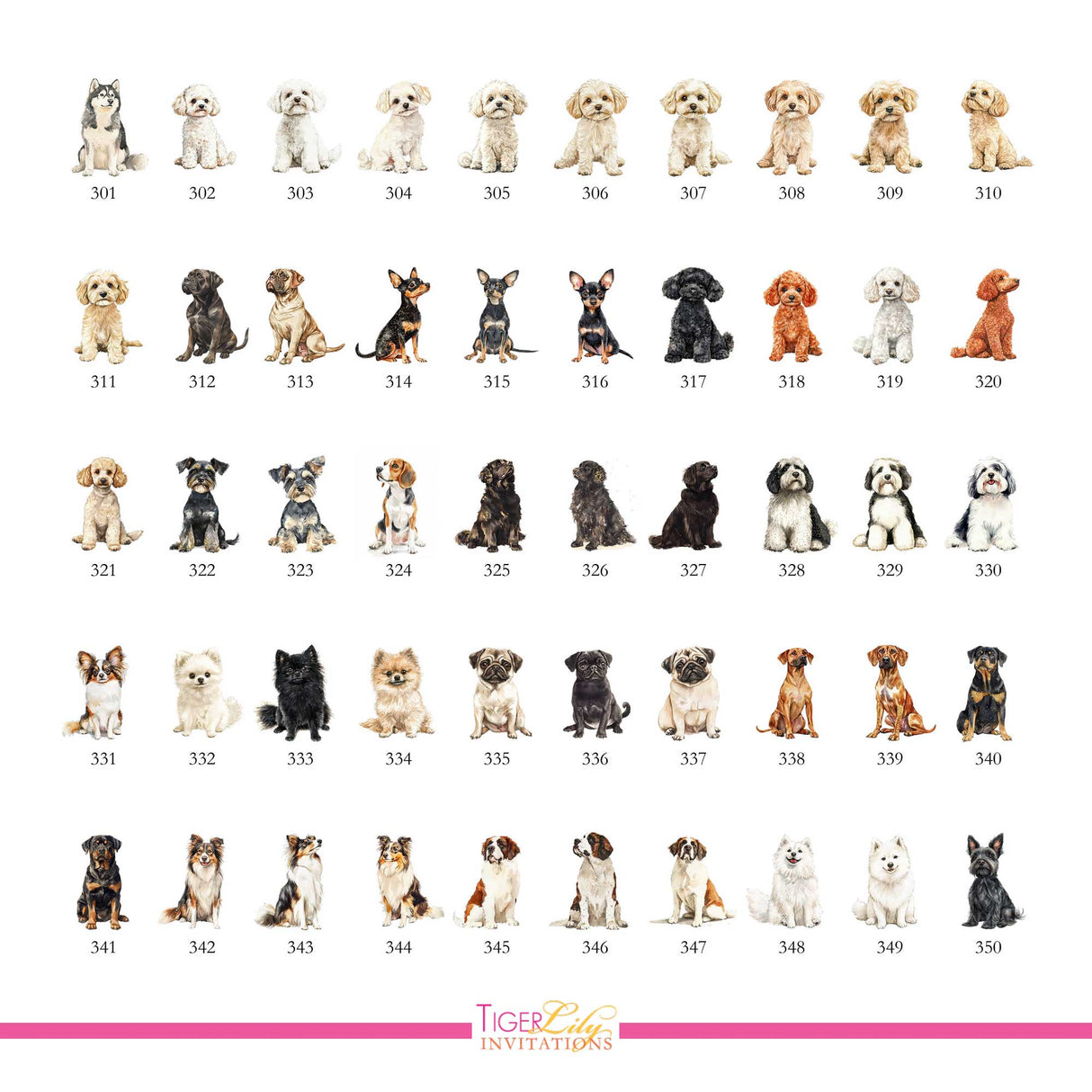 Chart of dog watercolor illustrations for drink menu