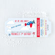 blue and red birthday invitation with airplane design on a light blue background