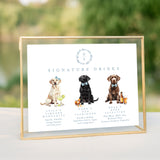 signature drink menu with illustrations of pet and drinks 