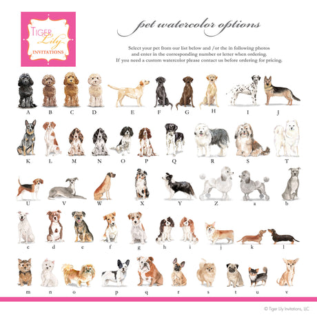 Chart of dog watercolor illustrations for drink menu