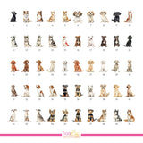 Chart of dog watercolor illustrations for drink menu