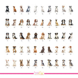 Chart of dog watercolor illustrations for drink menu