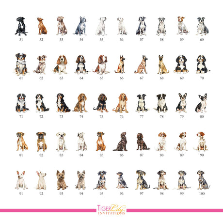 Chart of dog watercolor illustrations for drink menu