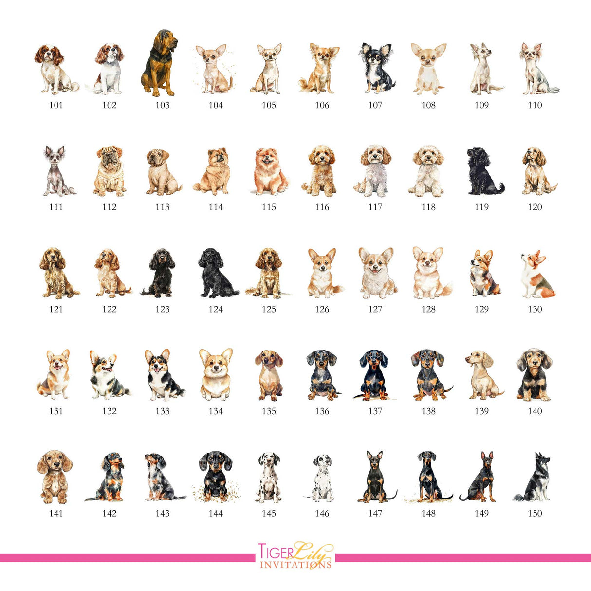 Chart of dog watercolor illustrations for drink menu