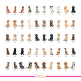 Chart of dog watercolor illustrations for drink menu