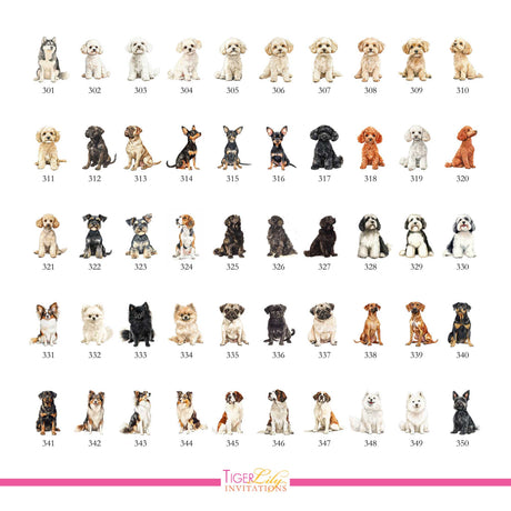 Chart of dog watercolor illustrations for drink menu