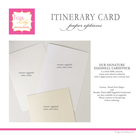 paper options showing white, ultra white, and soft white eggshell cardstock